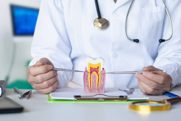 Best Dentist for Severe Toothache  in Idyllwild Pine Cove, CA
